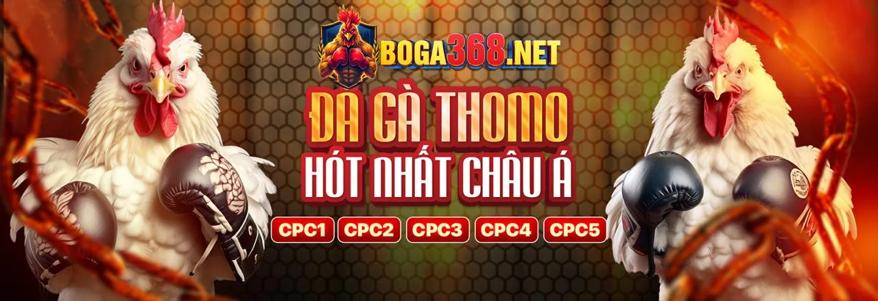 Hình ảnh hỗ trợ khách hàng MK88